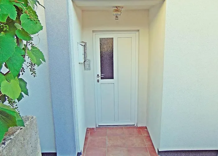 Center Dora 아파트 풀라